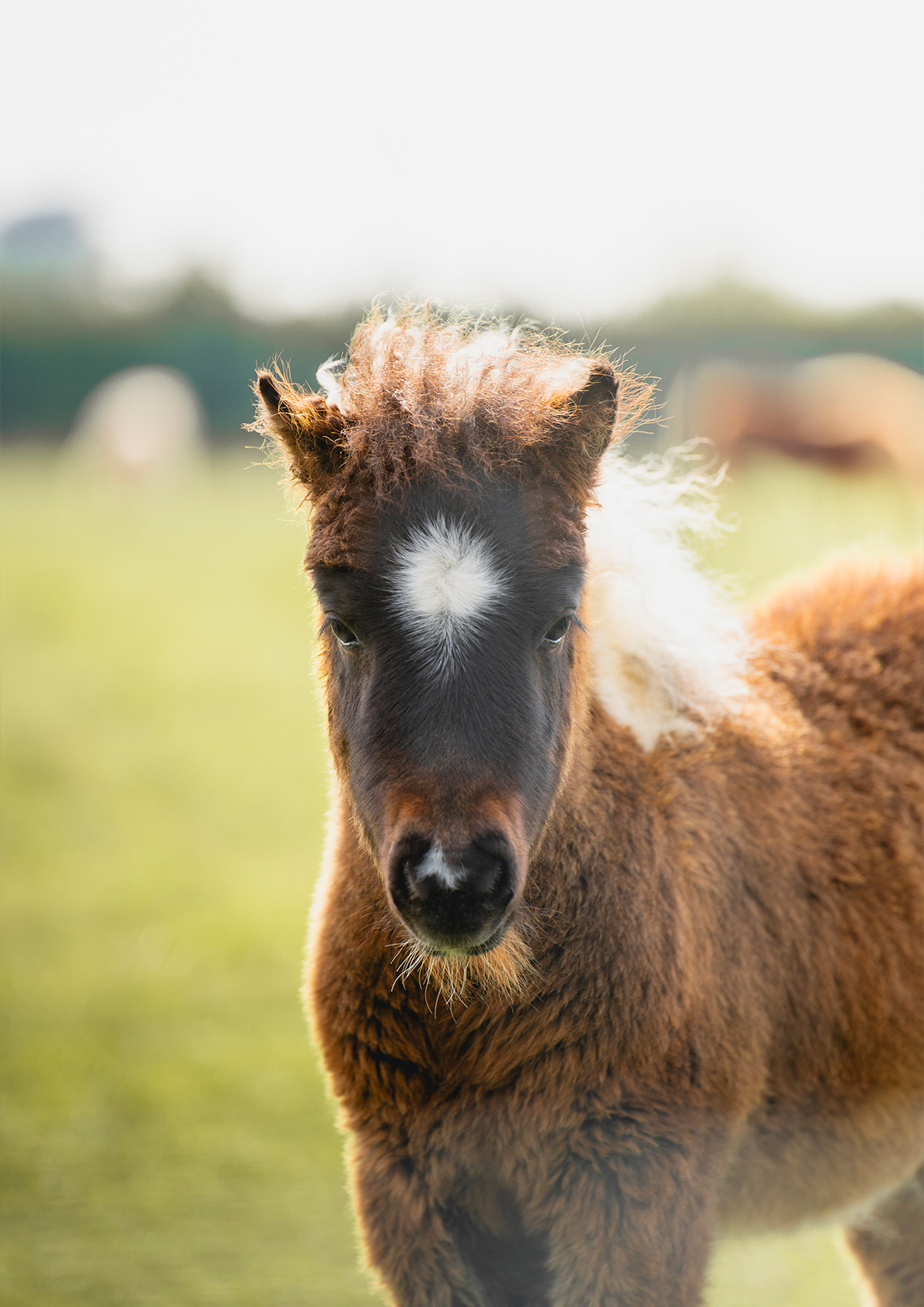 467c7328af284dc899a71f8d71ca5904