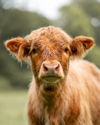 Instagram post from basleroy. This post is in position 1.