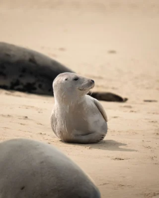 Instagram post from basleroy. This post is in position 1.