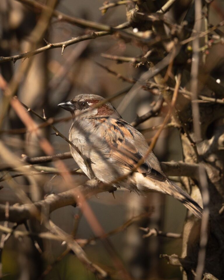 Instagram post from basleroy. This post is in position 1.