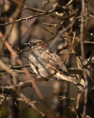 Instagram post from basleroy. This post is in position 3.