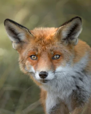 Instagram post from basleroy. This post is in position 5.